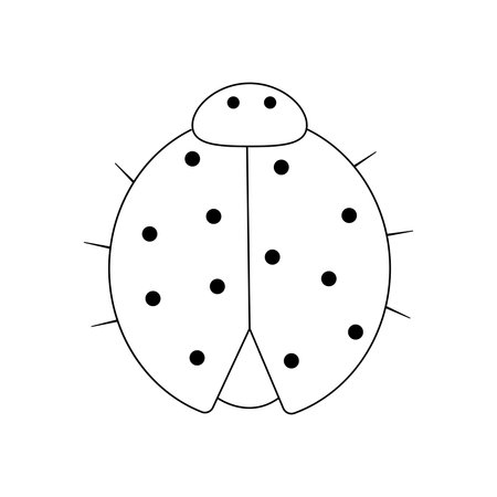 Hand drawn illustration of a ladybug. isolated on white backgroundのイラスト素材