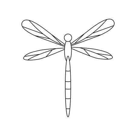hand drawn dragonfly illustration. isolated on white backgroundのイラスト素材
