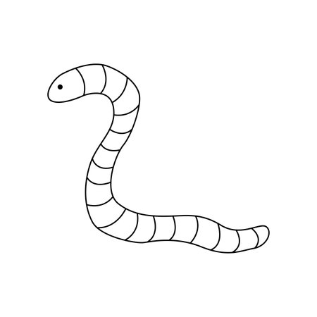 Hand drawn illustration of a worm. isolated on white backgroundのイラスト素材