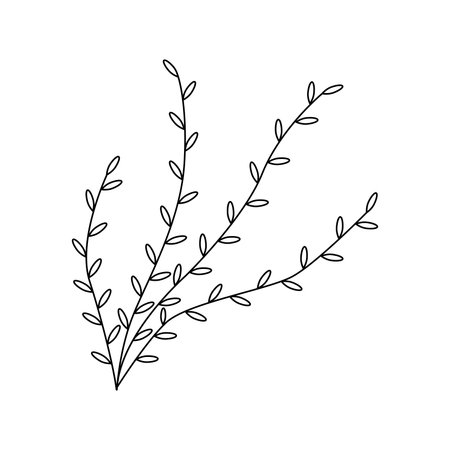 Hand drawn illustration spring tree. isolated on white backgroundのイラスト素材