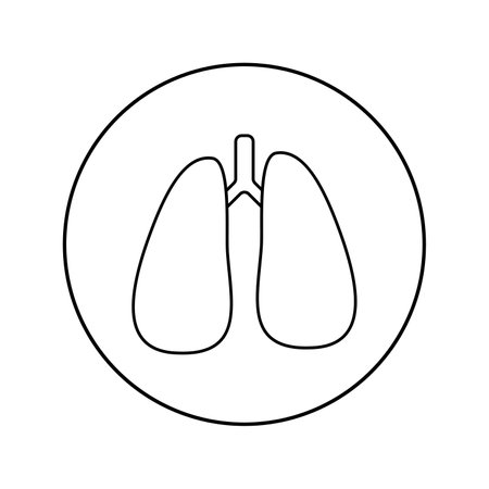 Lungs linear icon. Medicine, pulmonologyのイラスト素材