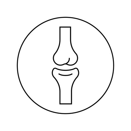 Vector linear icon joint, bone. Orthopedics, medicineのイラスト素材