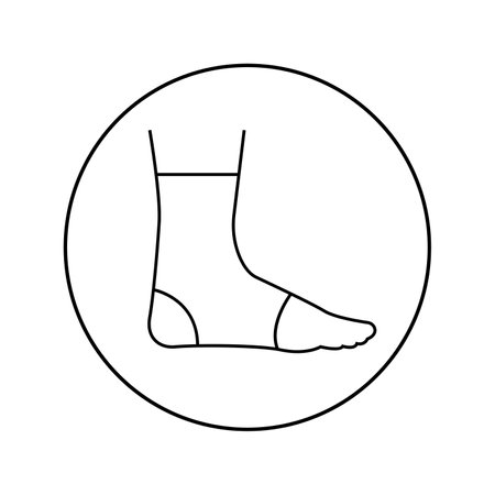 Vector linear icon of ankle, leg. Orthopedics, medicineのイラスト素材