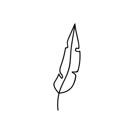 Hand drawn vector feather. isolated on white backgroundのイラスト素材