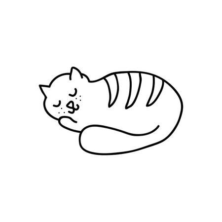 Hand drawn vector illustration sleeping cat. isolated on white backgroundのイラスト素材
