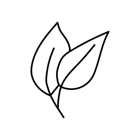 Hand drawn vector tree leaf. isolated on white backgroundのイラスト素材