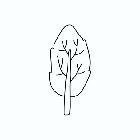 Hand drawn vector illustration tree. isolated on white backgroundのイラスト素材