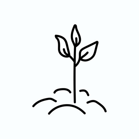 Hand drawn vector illustration of plant sprout. isolated on white backgroundのイラスト素材