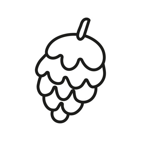 Vector illustration of a tree cone in doodle style.のイラスト素材