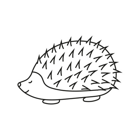 Vector illustration of a hedgehog in doodle style. isolated on white backgroundのイラスト素材