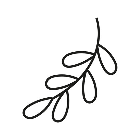 Vector illustration of branch with leaves in doodle style. isolated on white backgroundのイラスト素材