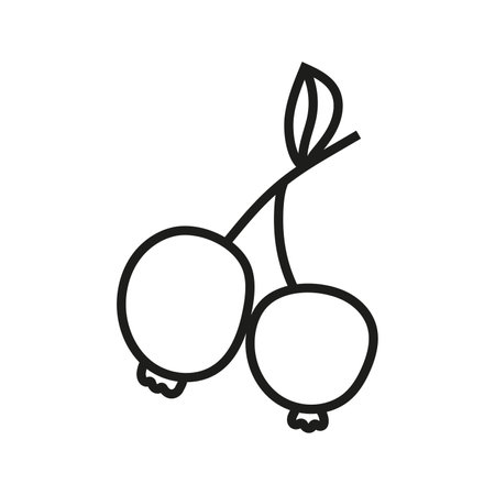 Vector illustration of berry in doodle styleのイラスト素材