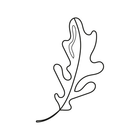 Vector illustration of arugula in doodle style.のイラスト素材