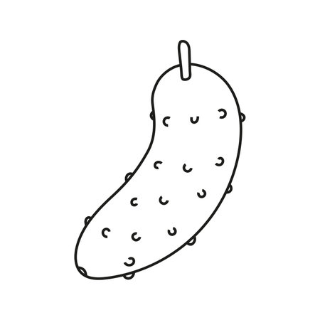 Vector illustration of cucumber in doodle style.のイラスト素材