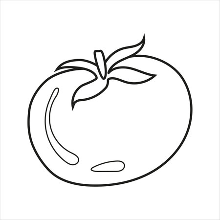 Vector illustration of tomato in doodle styleのイラスト素材