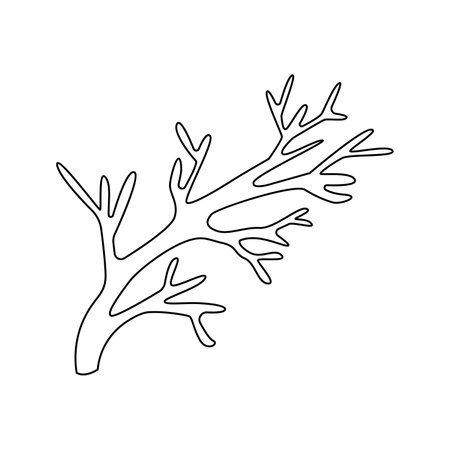 Vector illustration of corals in doodle style. isolated on white backgroundのイラスト素材