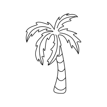 Vector illustration of palm tree in doodle styleのイラスト素材