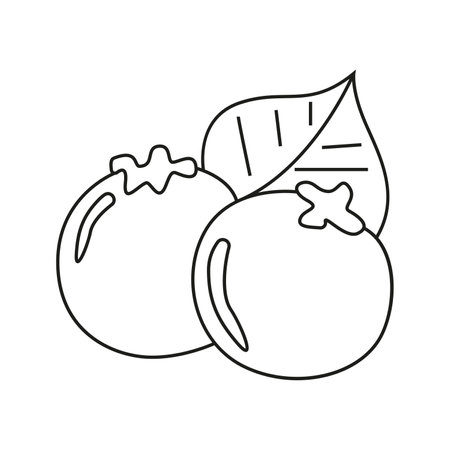 Vector illustration of blueberries in doodle styleのイラスト素材