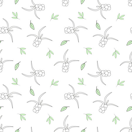 Seamless vector pattern sea buckthorn, berry in doodle styleのイラスト素材