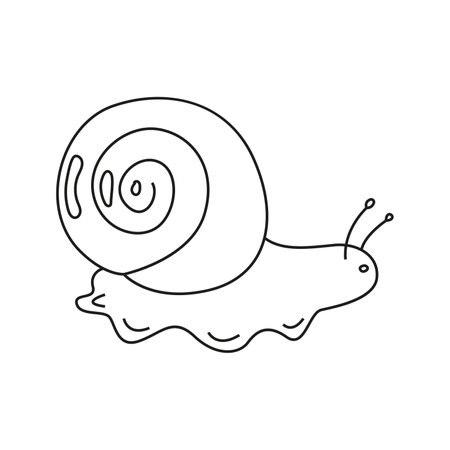 Vector illustration of a snail in doodle styleのイラスト素材