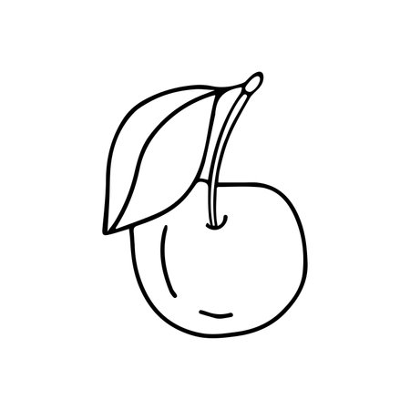 Hand drawn vector illustration cherry. isolated on white backgroundのイラスト素材