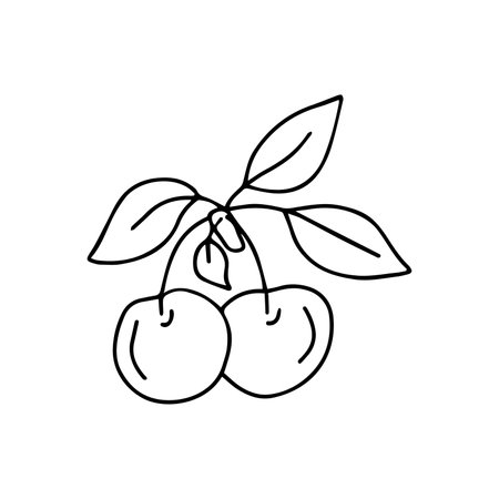 Hand drawn vector illustration cherry. isolated on white backgroundのイラスト素材