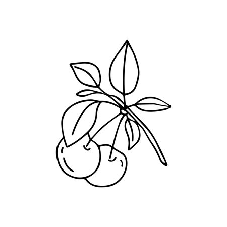 Hand drawn vector illustration cherry. isolated on white backgroundのイラスト素材