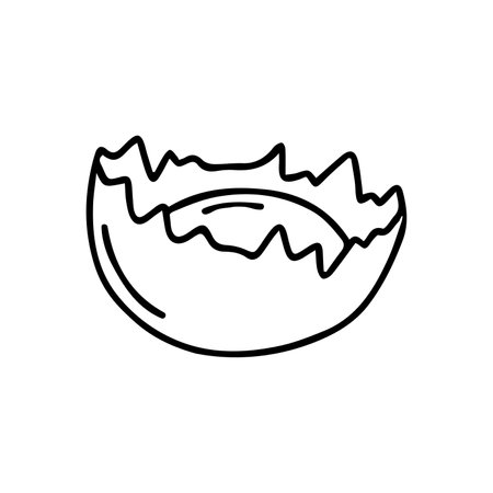 vector illustration of an egg shell.Hand drawn, doodle. isolated on white backgroundのイラスト素材