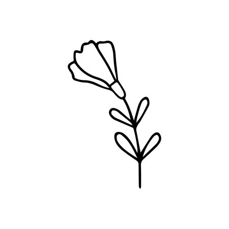 Hand drawn illustration of flowersのイラスト素材