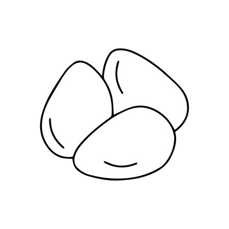 chicken eggs vector illustration. Hand drawn, doodle. isolated on white backgroundのイラスト素材
