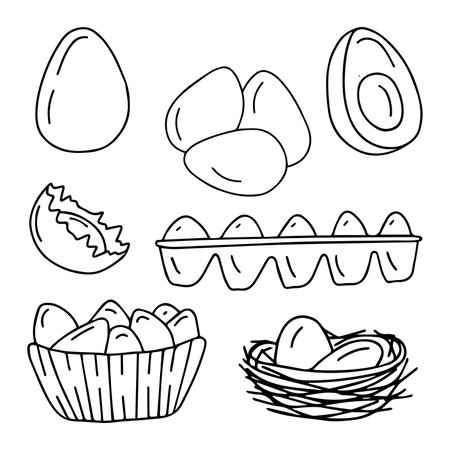 Eggs vector illustration set. Hand drawn, doodle. isolated on white backgroundのイラスト素材