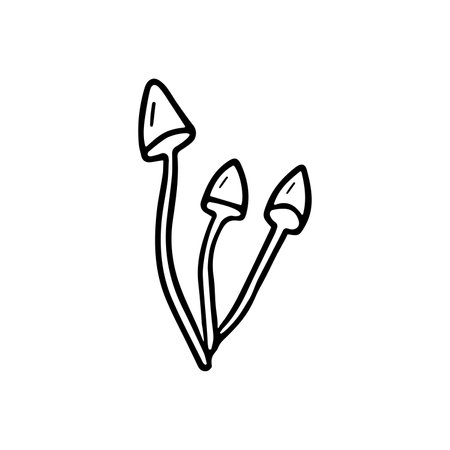 hand drawn mushroom illustration. isolated on white backgroundのイラスト素材