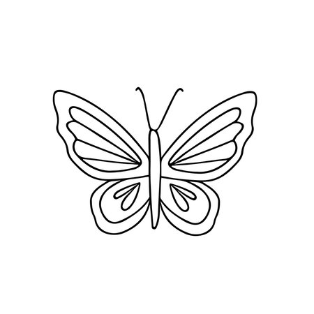 Hand drawn vector illustration butterfly. isolated on white backgroundのイラスト素材