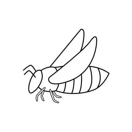 Vector linear illustration of a bee, in doodle style. isolated on white backgroundのイラスト素材