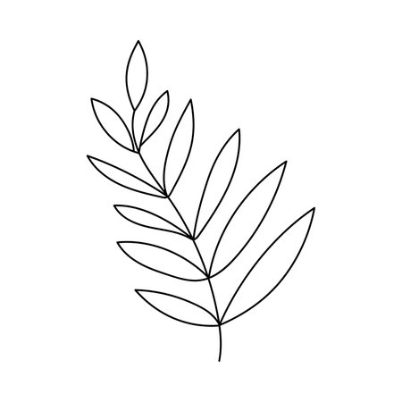 Doodle style plant. Hand drawn. Isolated on a white background.のイラスト素材
