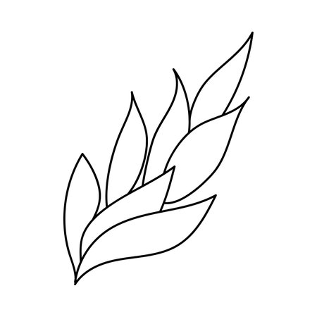 Doodle style plant. Hand drawn. Isolated on a white background.のイラスト素材