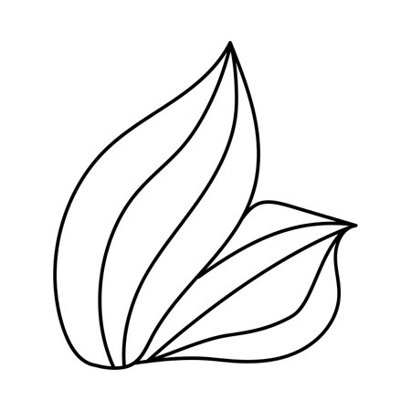 Doodle style plant. Hand drawn. Isolated on a white background.のイラスト素材