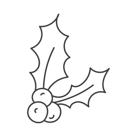 Christmas plant in doodle style. Hand drawn. Isolated on a white background.のイラスト素材