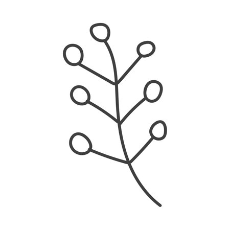 Christmas plant in doodle style. Hand drawn. Isolated on a white background.のイラスト素材