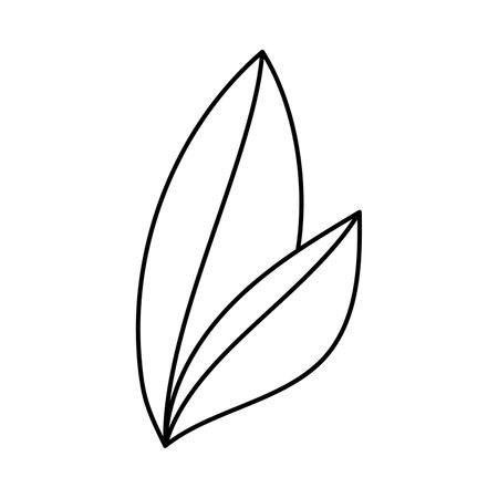 Doodle style plant. Hand drawn. Isolated on a white background.のイラスト素材