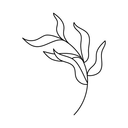 Doodle style plant. Hand drawn. Isolated on a white background.のイラスト素材