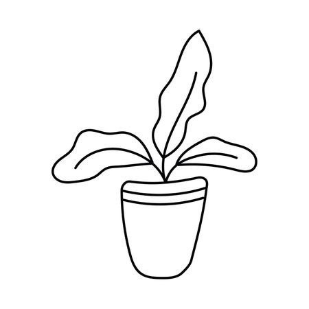 Indoor plant. Vector illustration in doodle style. Isolated on white background.のイラスト素材