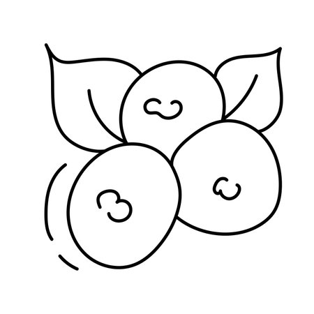 Berries.Vector illustration in doodle style.のイラスト素材