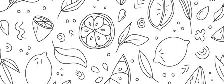 Lemon. Vector illustration in doodle style. Isolated on white backgroundのイラスト素材