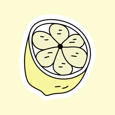 Lemon. Vector illustration in doodle style.のイラスト素材