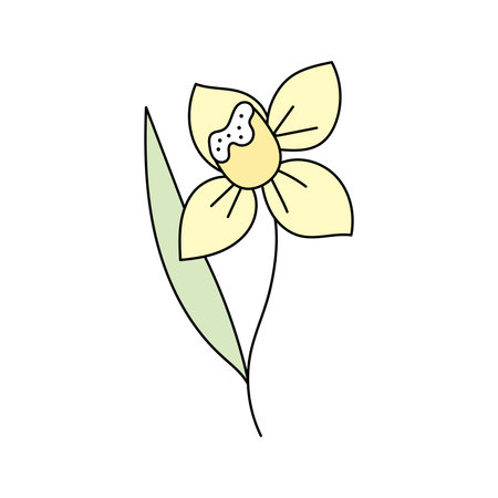 Spring flowers. Vector illustration. Isolated on white backgroundのイラスト素材