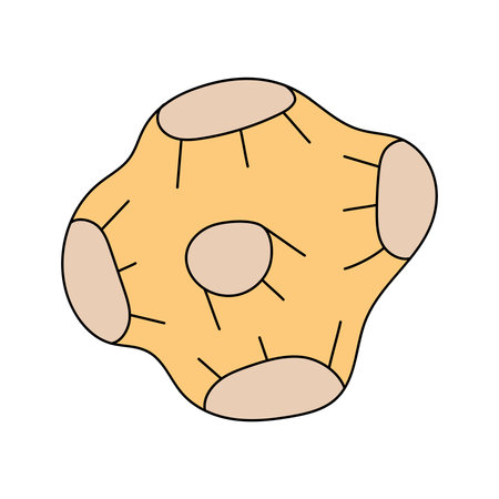 Meteorite, comet. Vector illustration, isolated on white backgroundのイラスト素材