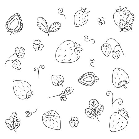 Strawberry set. Vector illustration in doodle style. Isolated on white backgroundのイラスト素材
