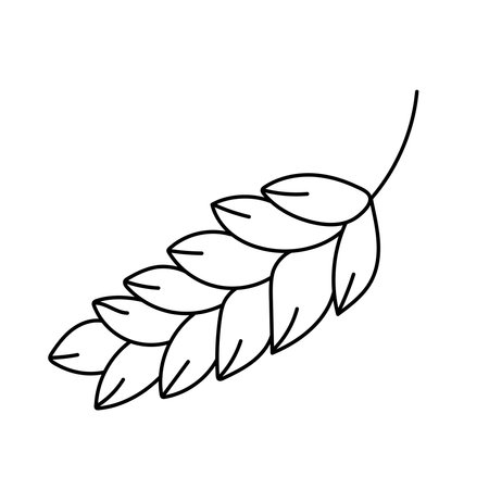 Wheat, cereals in doodle style. Vector illustration.のイラスト素材