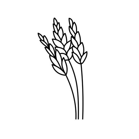 Wheat, cereals in doodle style. Vector illustration.のイラスト素材
